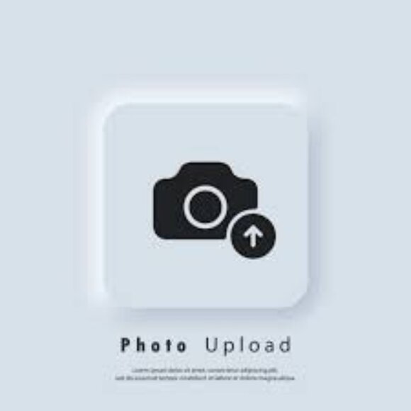 14k Bee Stud Earrings from The Lovery, New in Box - Picture 7 of 8